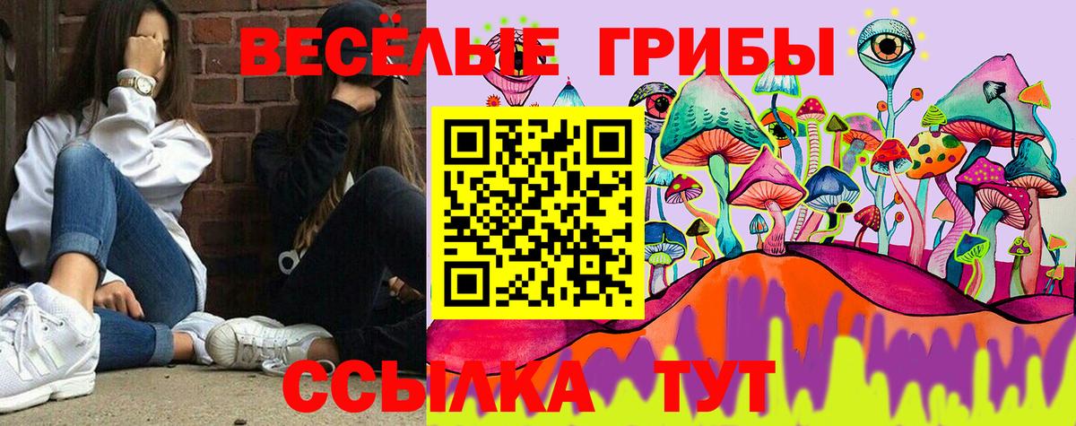 Галлюциногенные грибы Psilocybe Сатка