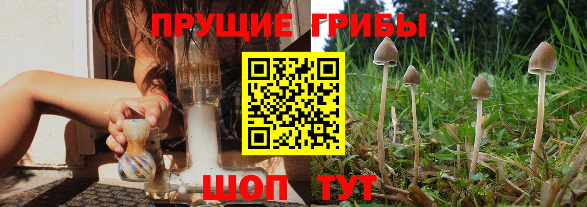 Галлюциногенные грибы Cubensis  Вход с VPN  наркота  Сатка 